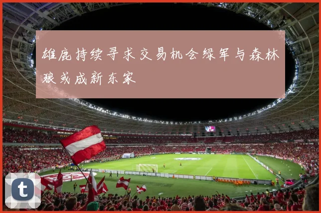 雄鹿持续寻求交易机会绿军与森林狼或成新东家